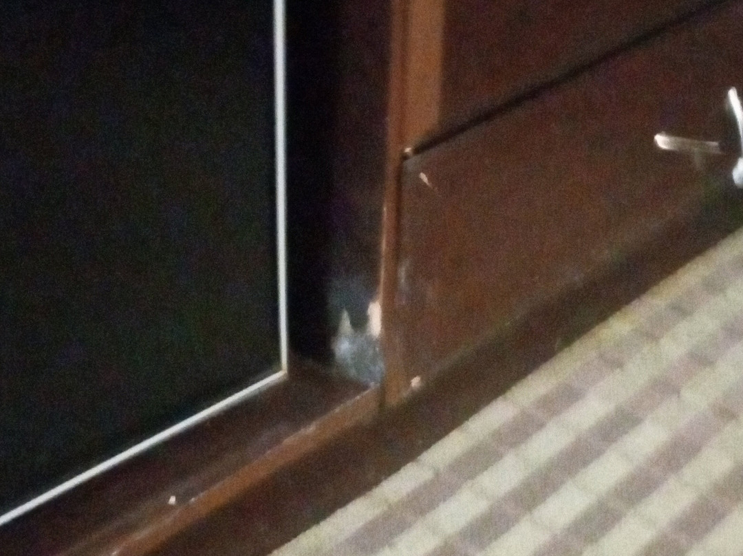 Quality Inn Mt. Pleasant主图