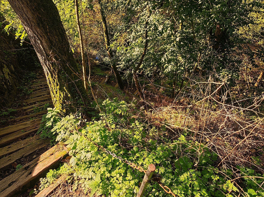 Passerelle Saint Jacques ou de la Minoterie-Chatillon-sur-Thouet必去景点