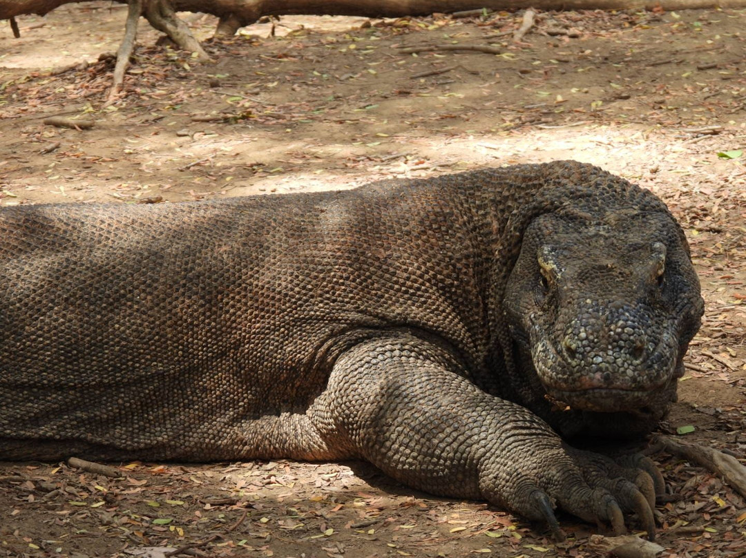 Travel With Dee-玛琅必去景点