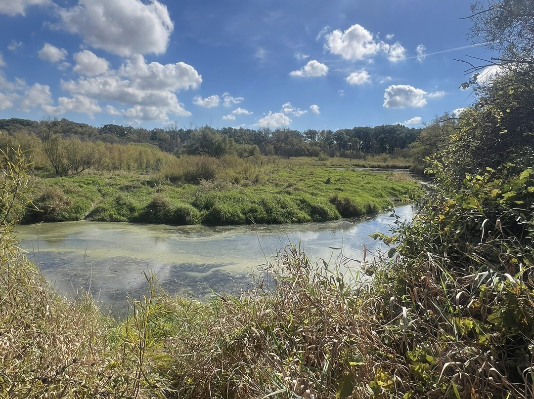 Van Patten Woods Forest Preserve