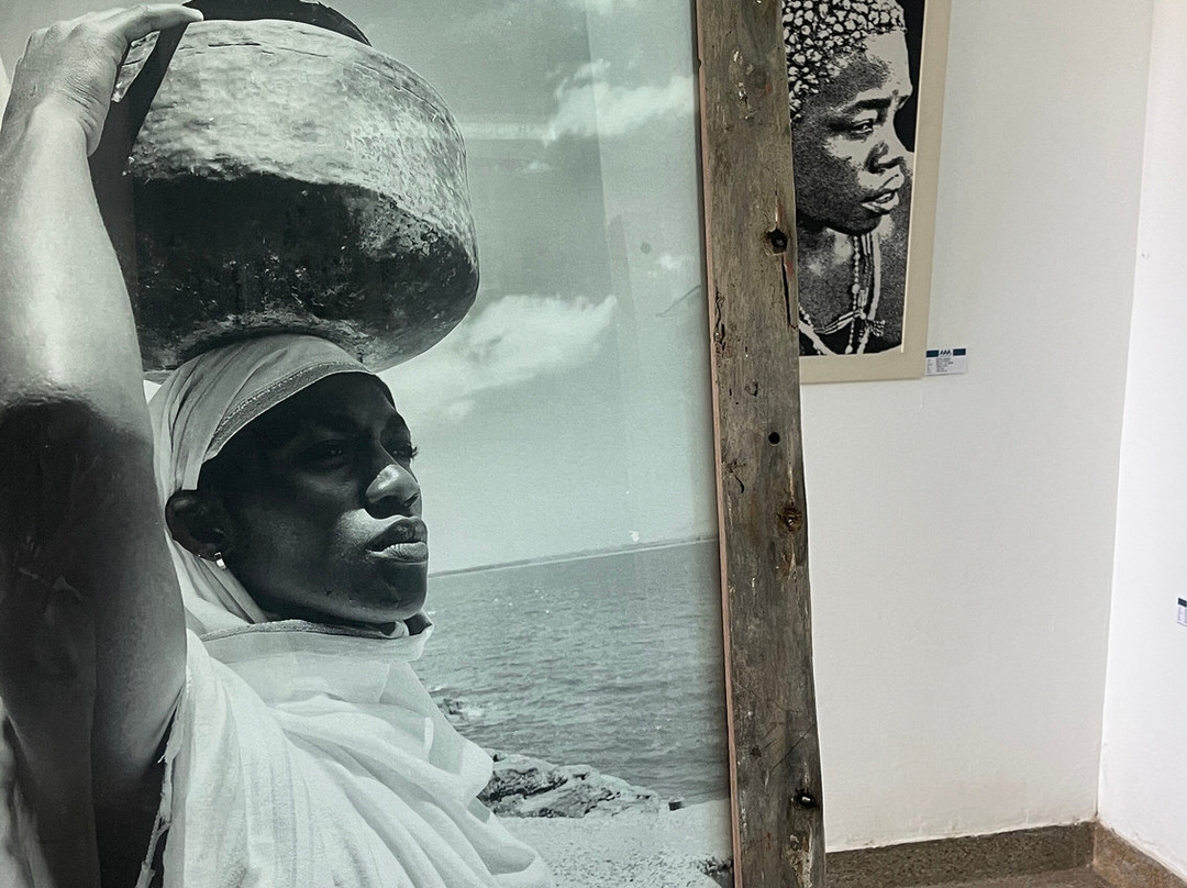 Almasi Art Agency-迪亚尼必去景点