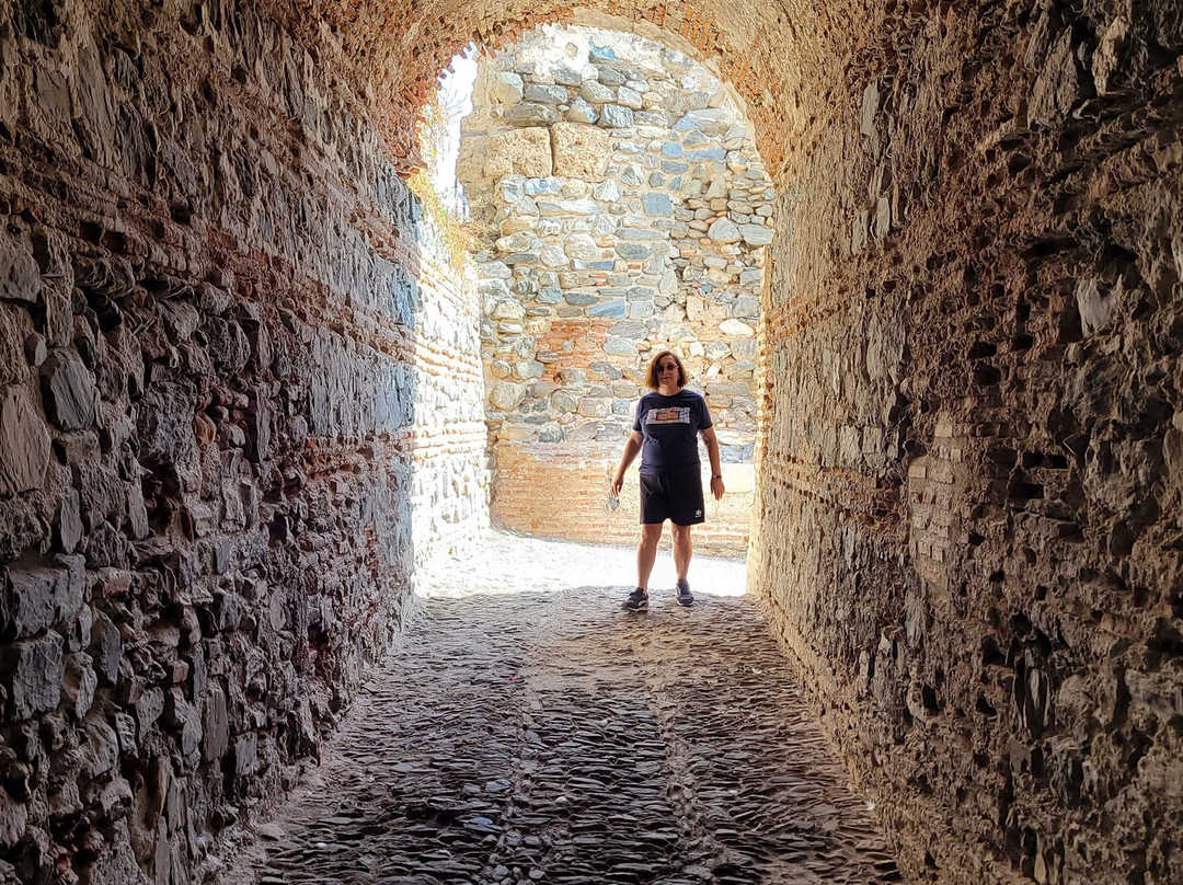 Castillo de San Miguel-阿尔穆涅卡尔必去景点
