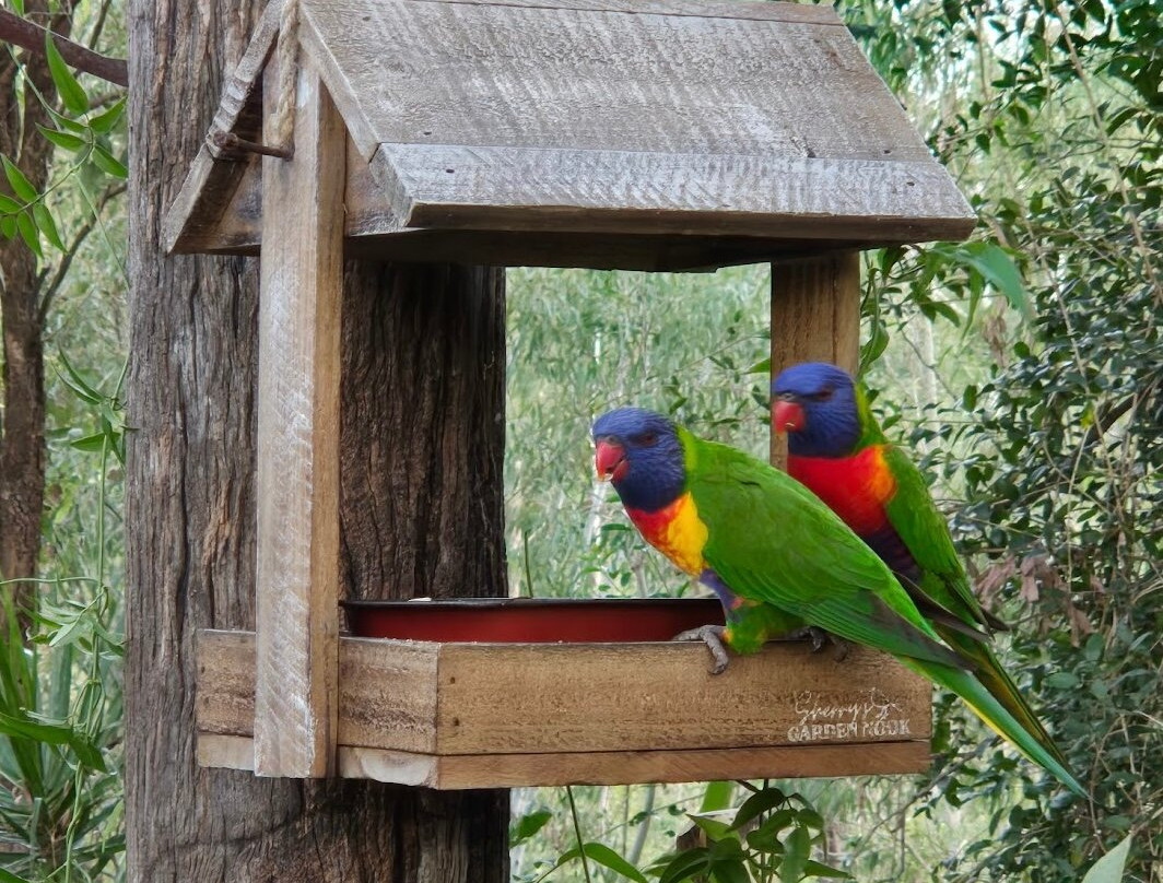 The Cabin, Ghost Gum Gully