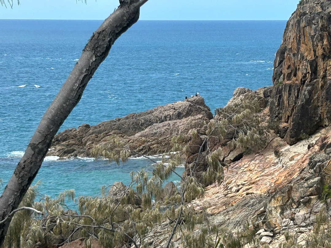 Joseph Banks Regional Park-1770镇必去景点