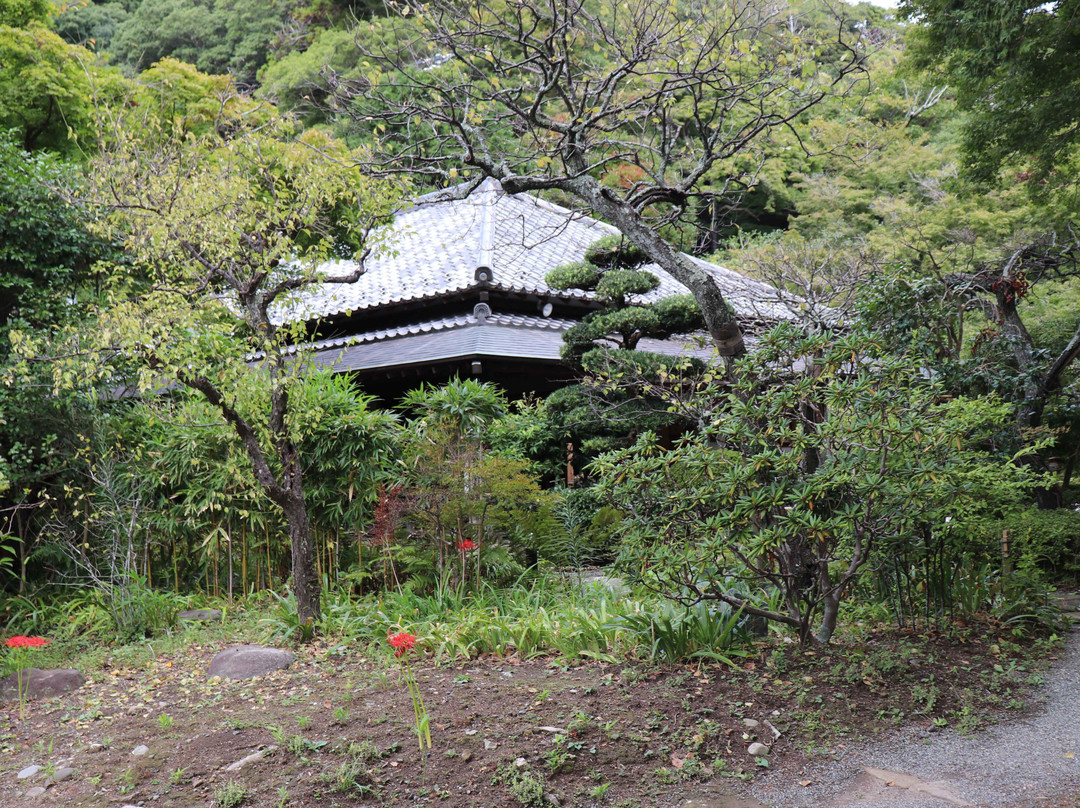 Jomyo-ji Temple-镰仓市必去景点