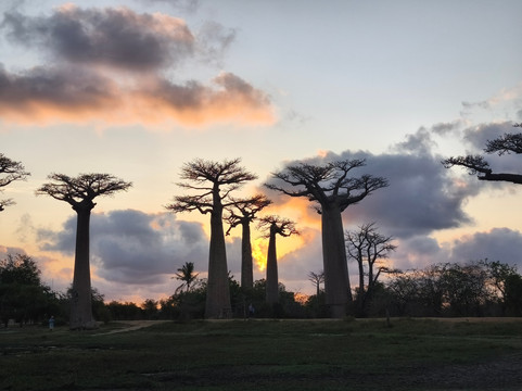 Friendly Tour Guide Madagascar-安塔那那利佛必去景点