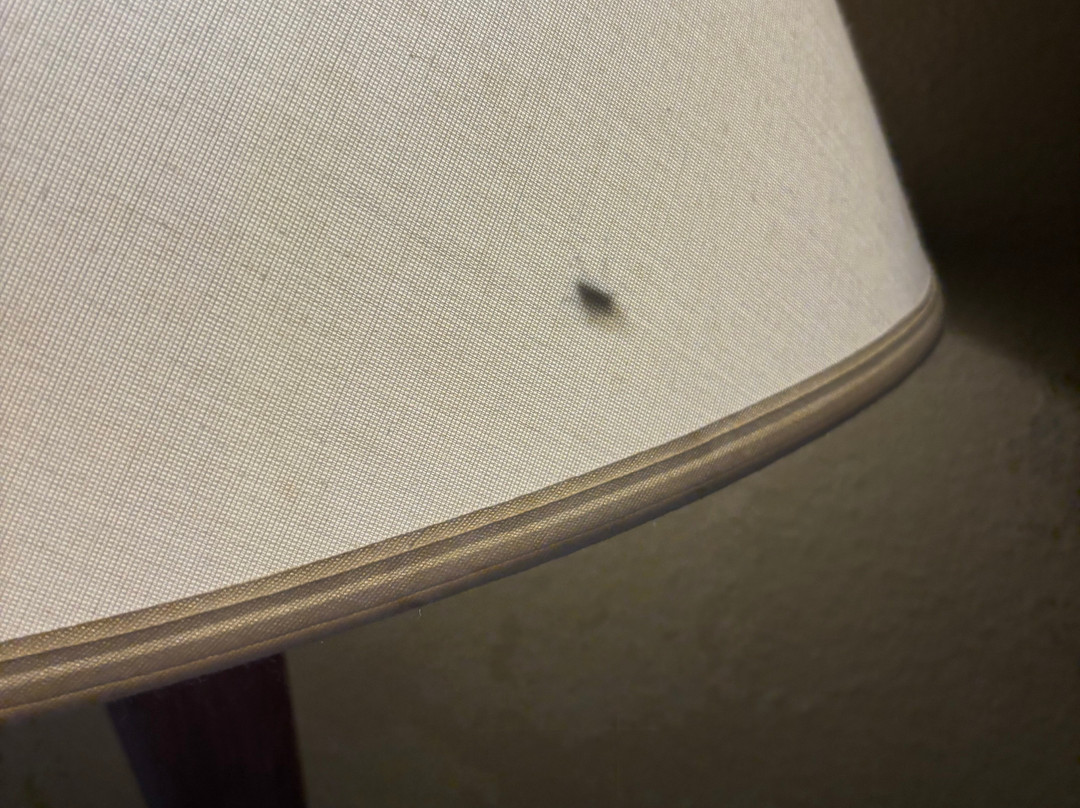 AmericInn Lodge & Suites Of Blue Earth主图