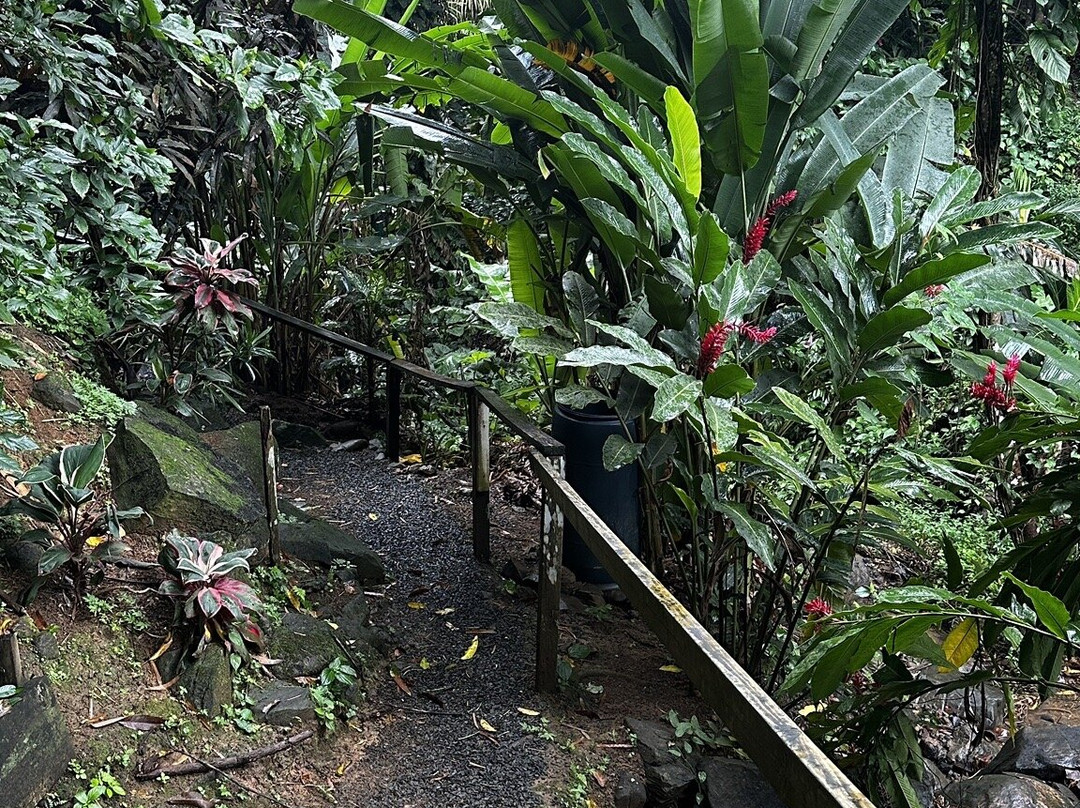 Annandale Falls-St. George's必去景点