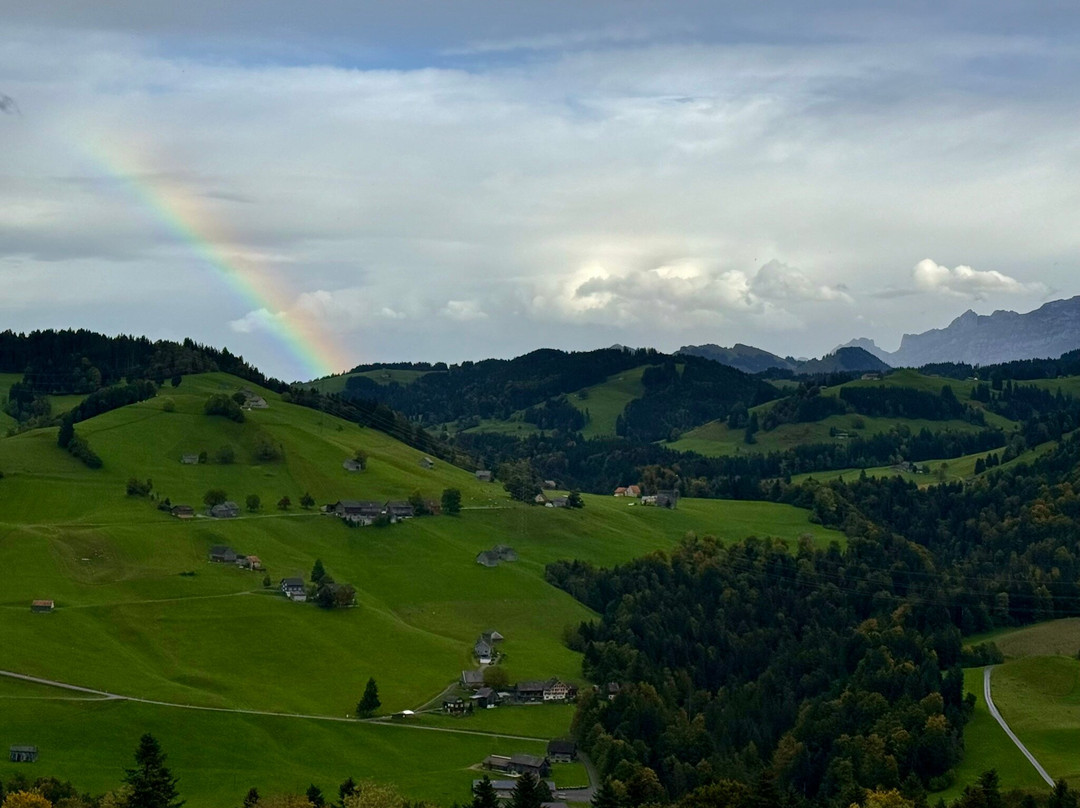 Erwin Tours of Switzerland-苏黎世必去景点