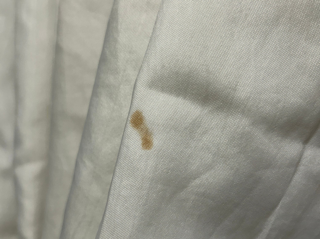 Del Rancho Motel主图