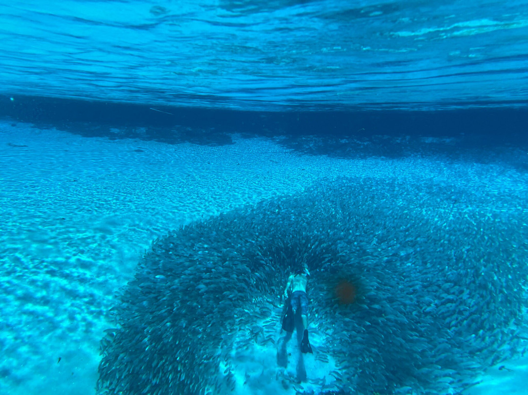 Silver Glen Springs Recreation Area-Salt Springs必去景点