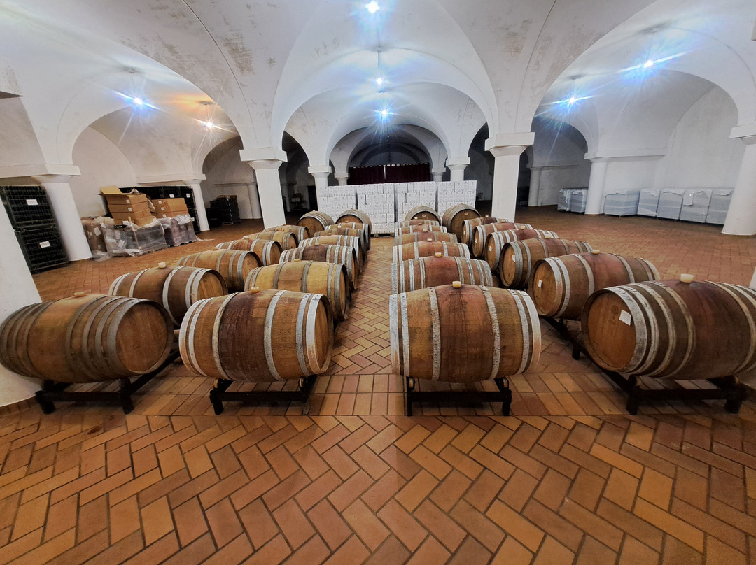 Marco's Way Wine Tours-Ostra必去景点
