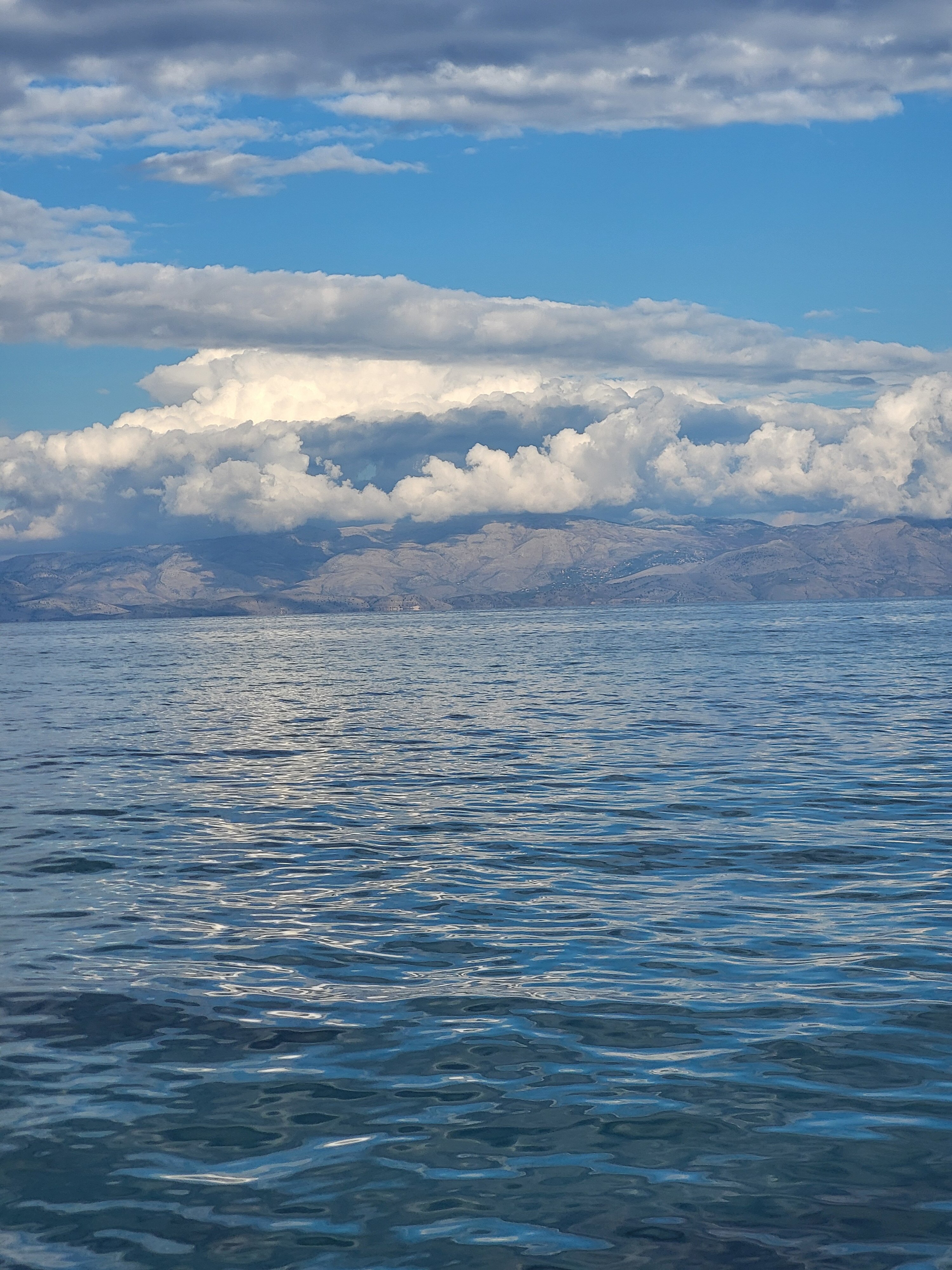 Belvedere Hotel-官方