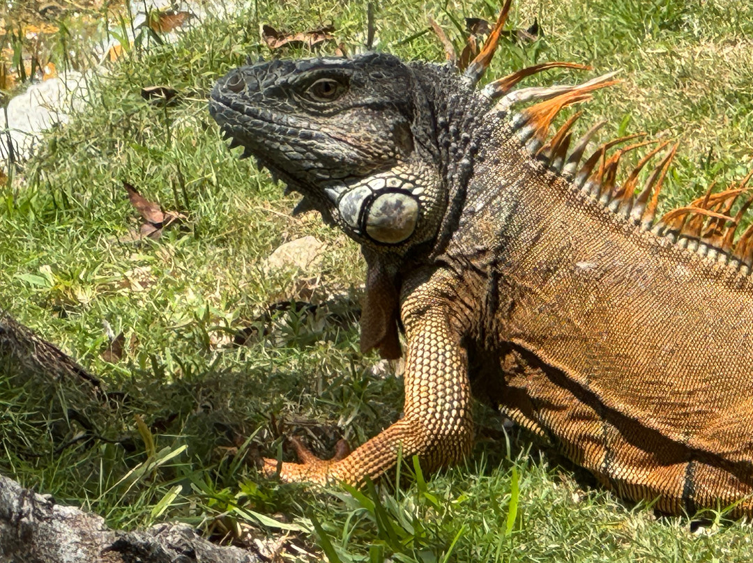 Bacalar lagoon Tours-Bacalar必去景点
