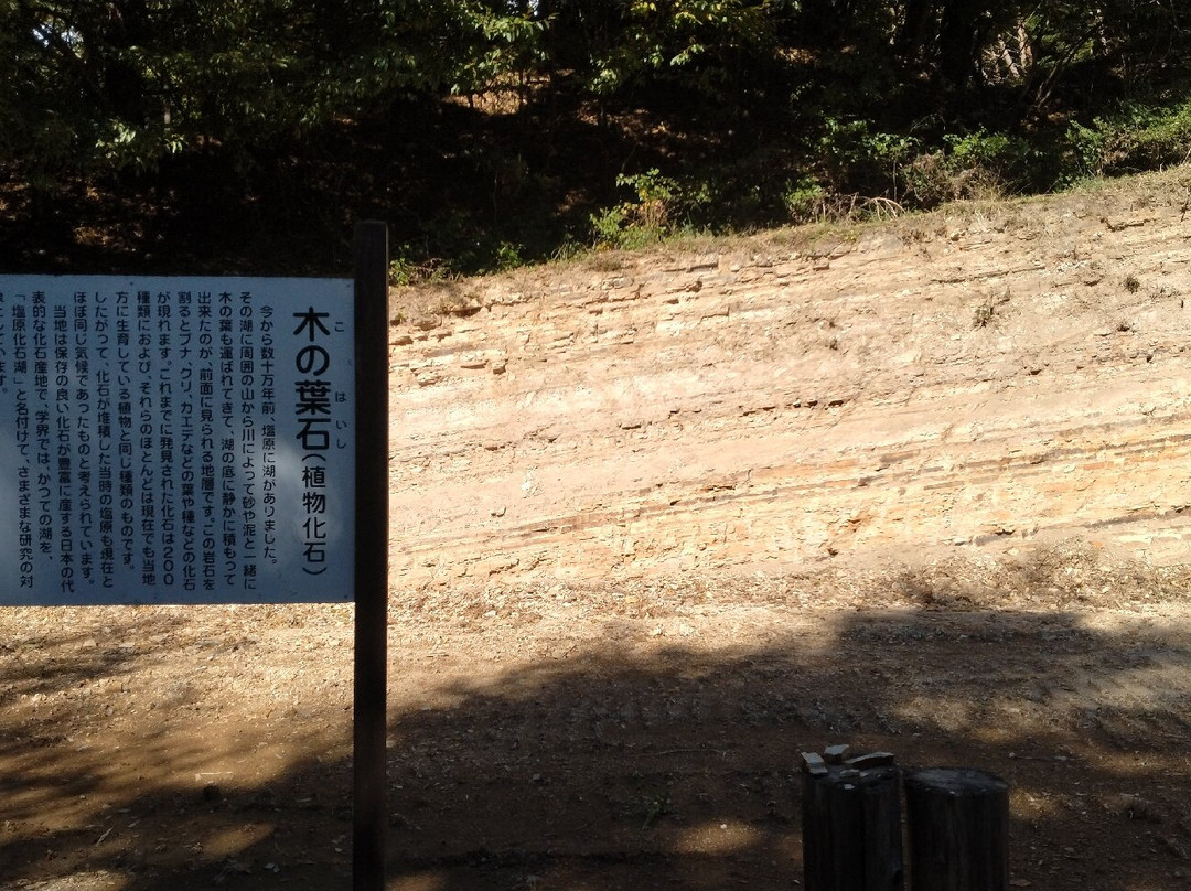 Konoha Fossils Museum-那须盐原市必去景点