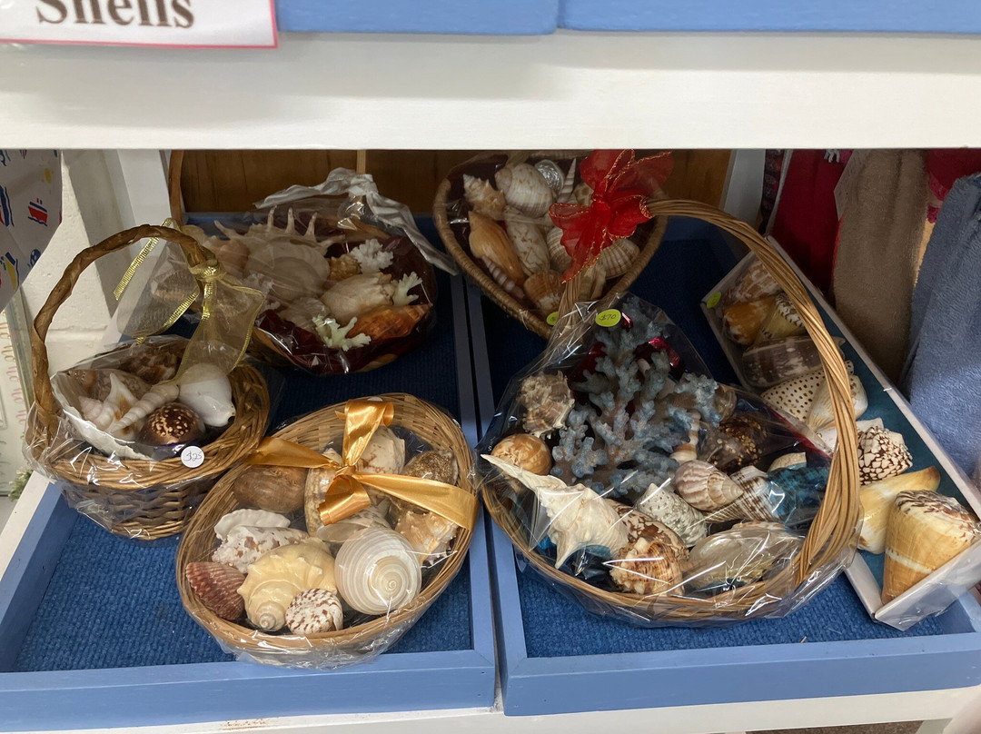 Shell World Yeppoon-Yeppoon必去景点