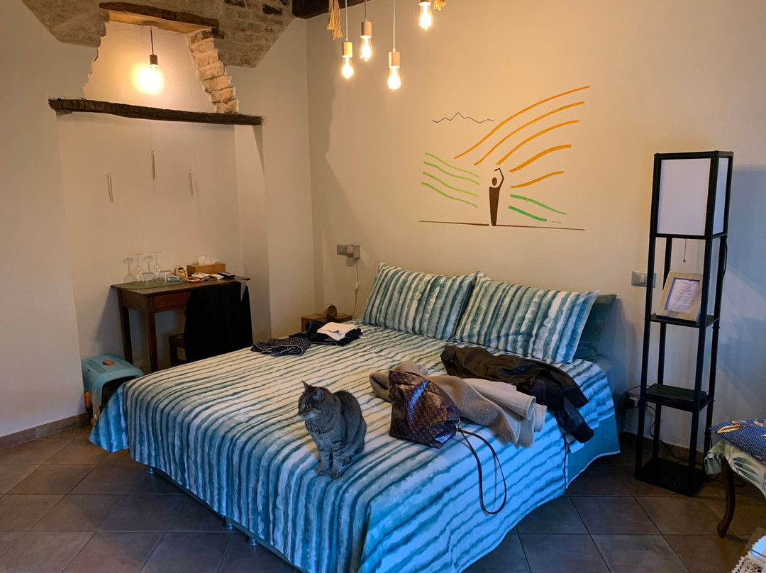 Il Giardino Sul Tetto B&B