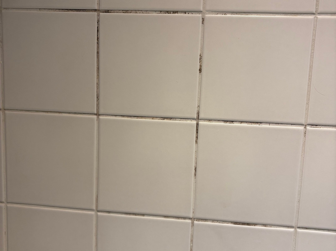 Mornington Hotel Stockholm Bromma主图