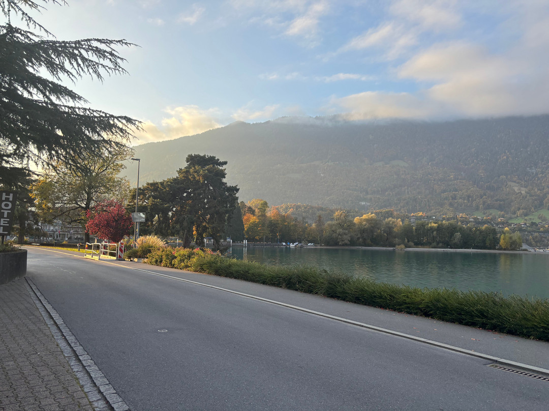 Seehotel Bonigen主图