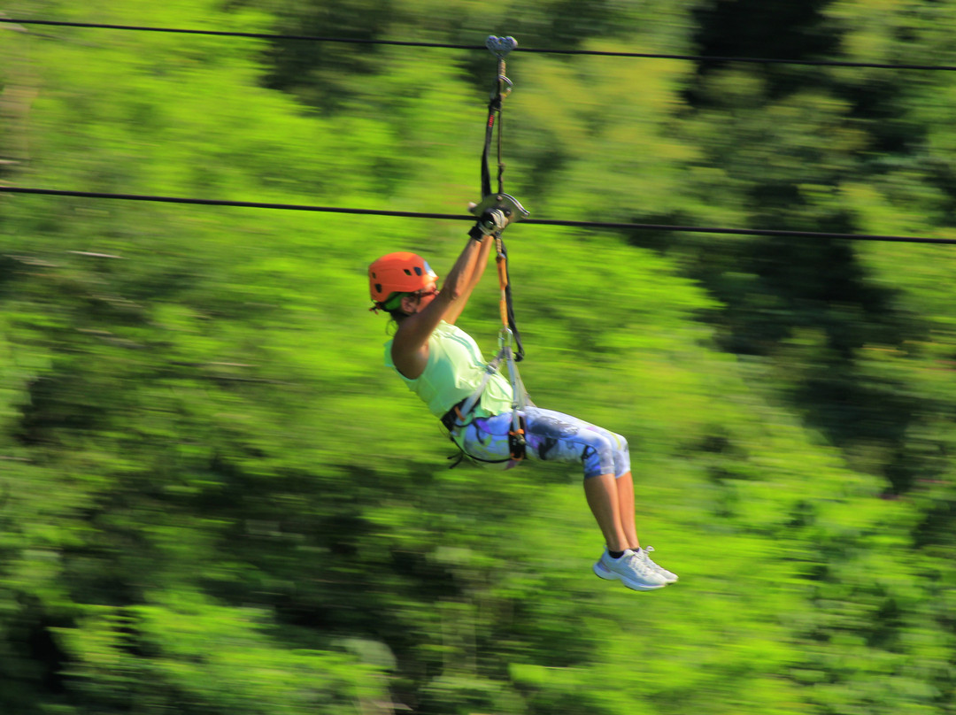 Vista Paraiso - Day Tours and Activities-Higuera Blanca必去景点