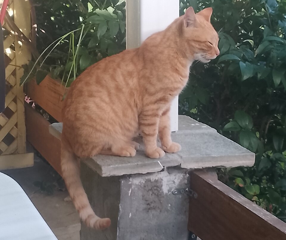 Philippos Hotel Apartments主图