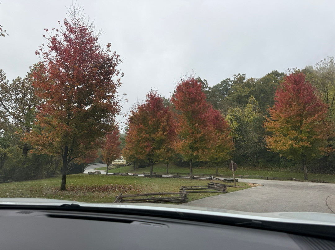 Dogwood Canyon Nature Park-Lampe必去景点