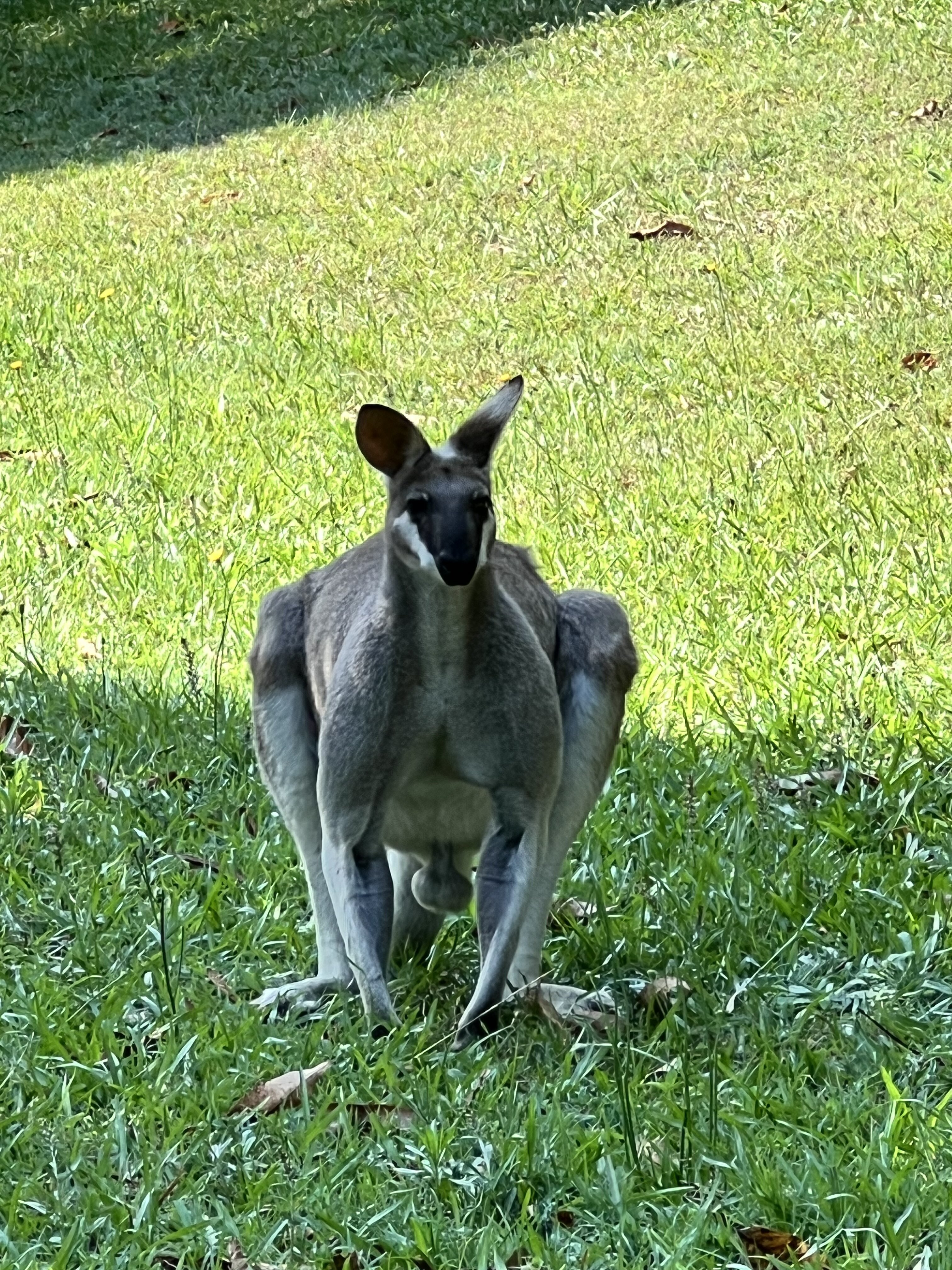 格拉斯豪斯酒店-浴室