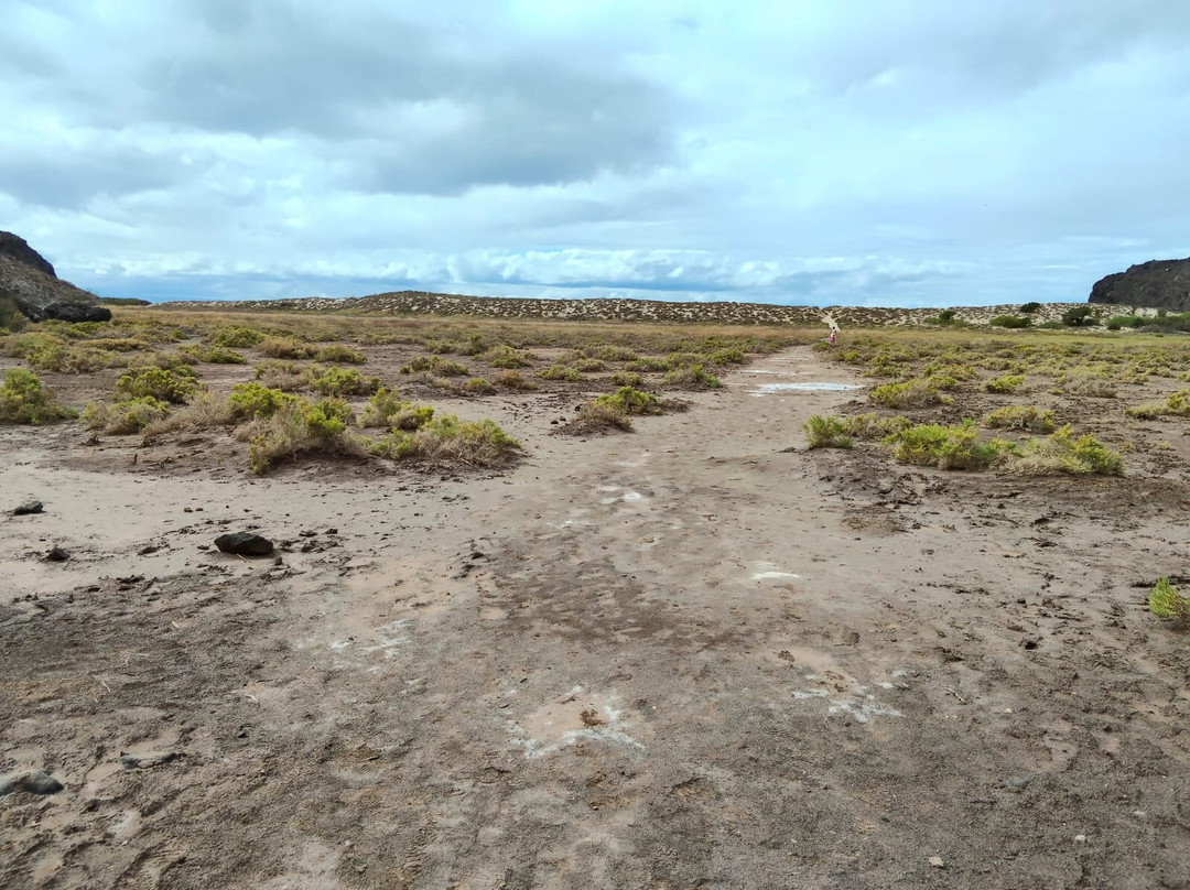 Playa El Tecolote (Tecolote Beach)-拉巴斯必去景点