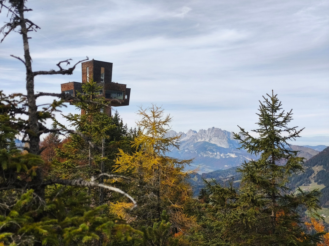 Hotel Waidringer Hof 4-Sterne-Superior - 1. Tiroler Gluckshotel主图