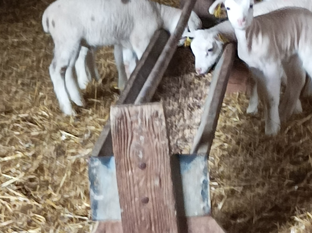 Ferme de Grignon-Thiverval-Grignon必去景点