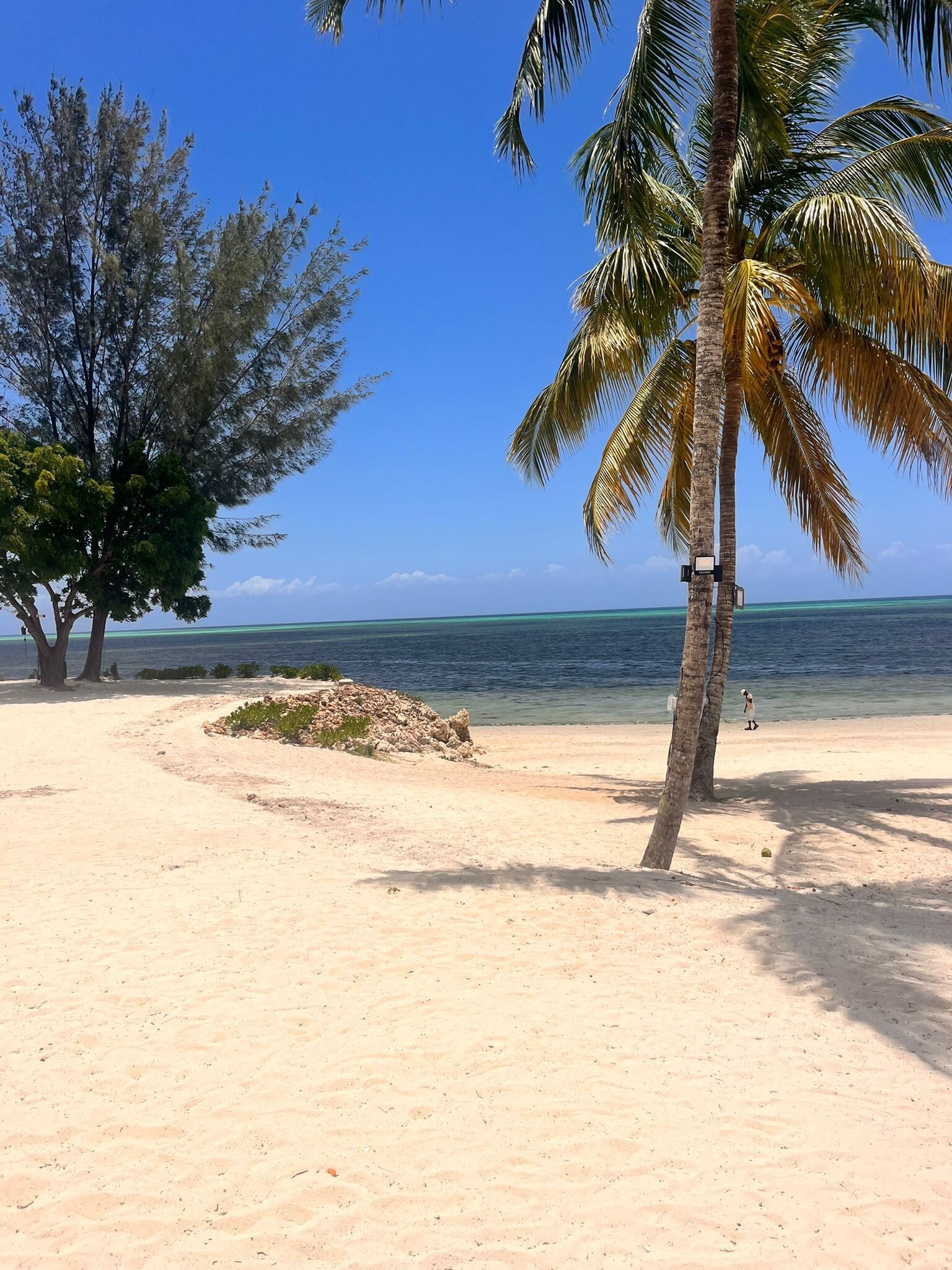 The Residence Zanzibar-泳池