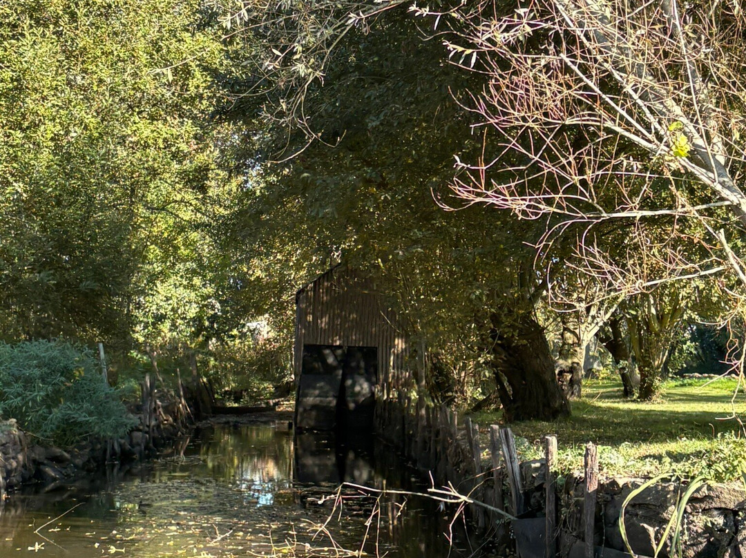 Promenades en Chaland - Valerie Aoustin-Huard-Saint-Joachim必去景点