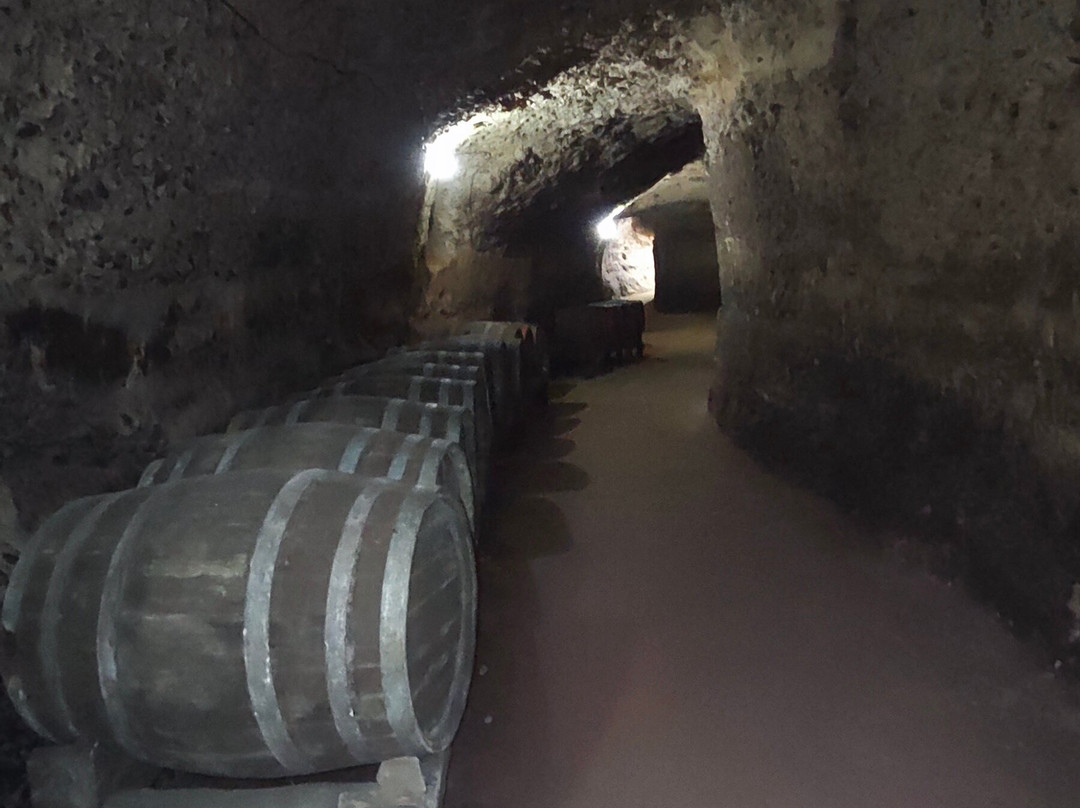 Kordopulova House-梅尔尼克必去景点