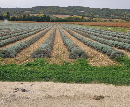 Domaine Des Lauribert-Visan必去景点
