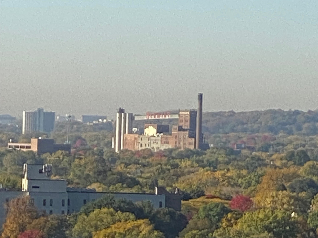 The Saint Paul Hotel主图