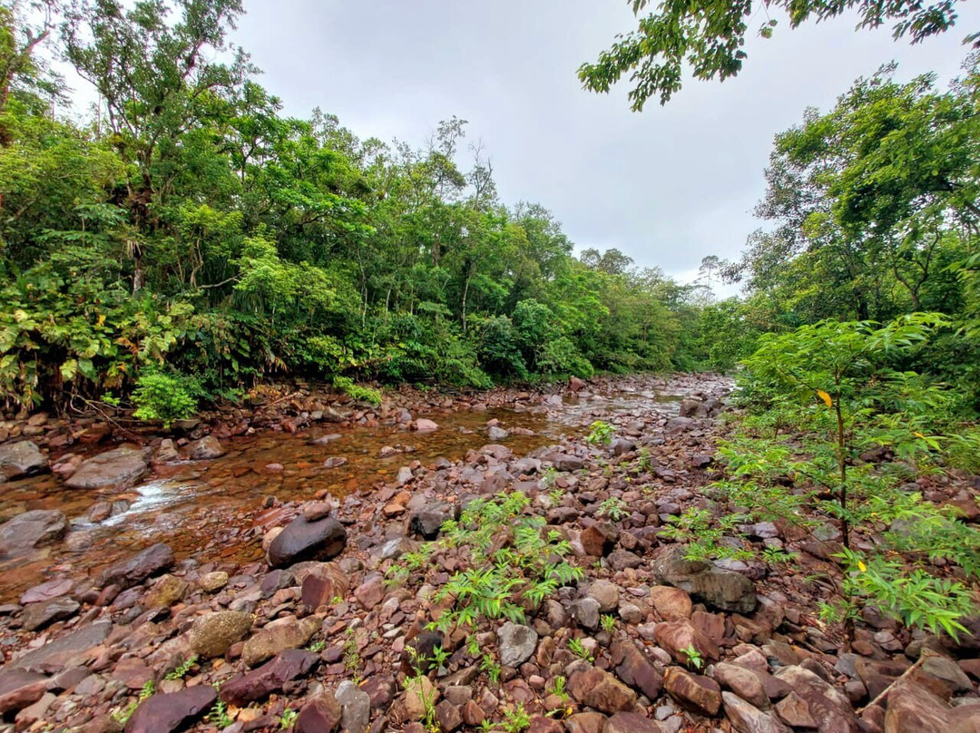 Aparados da Serra Tours-Cambará do Sul必去景点