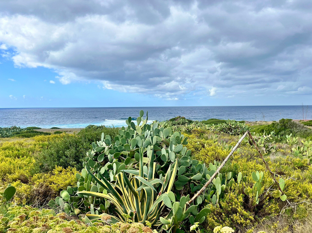 乌斯蒂卡-Ustica必去景点