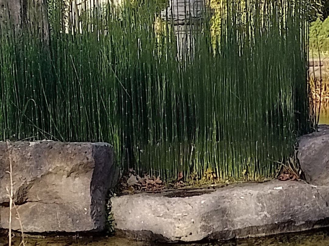 Jardin Japonais-奥斯坦德必去景点