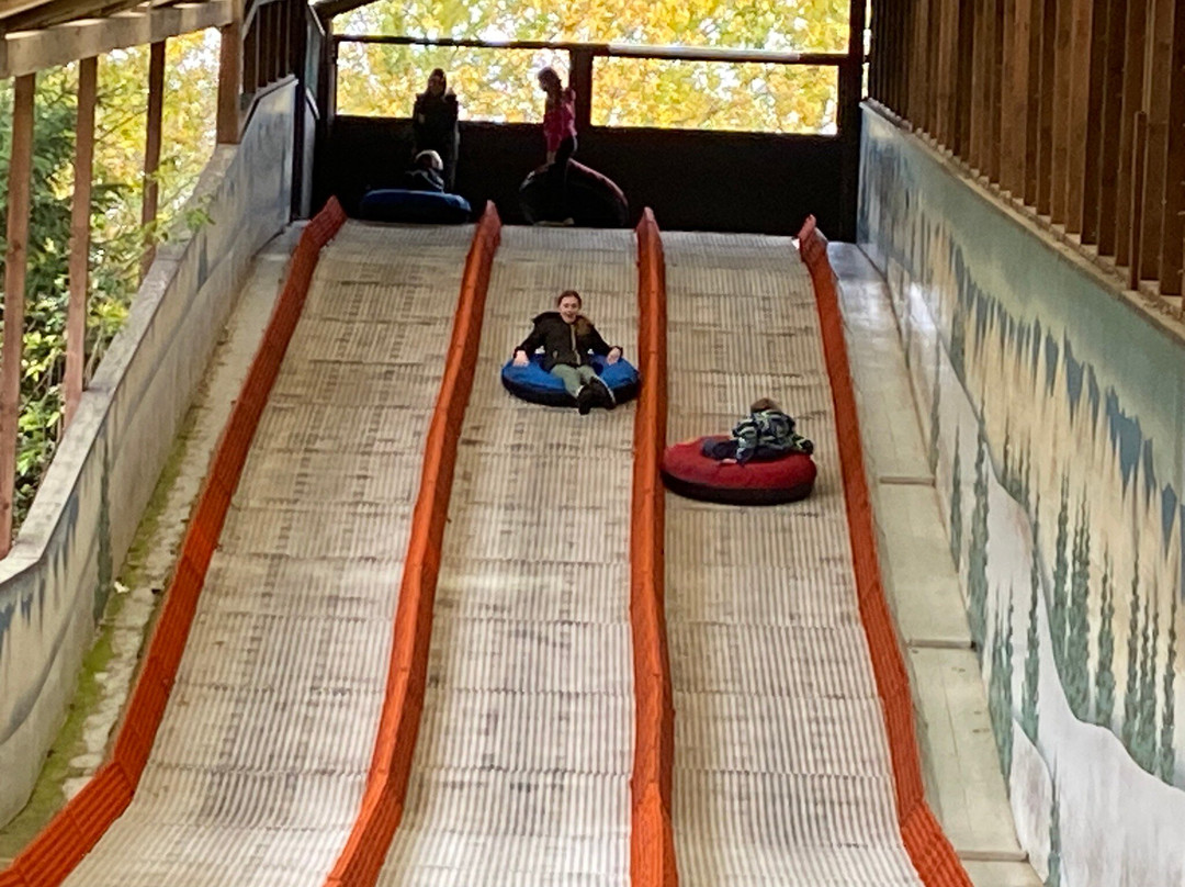 双湖公园-梅尔顿莫布雷必去景点