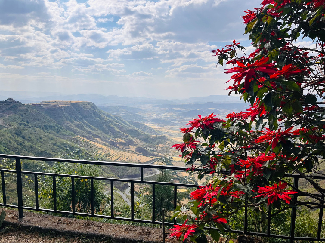 Top Twelve Hotel主图