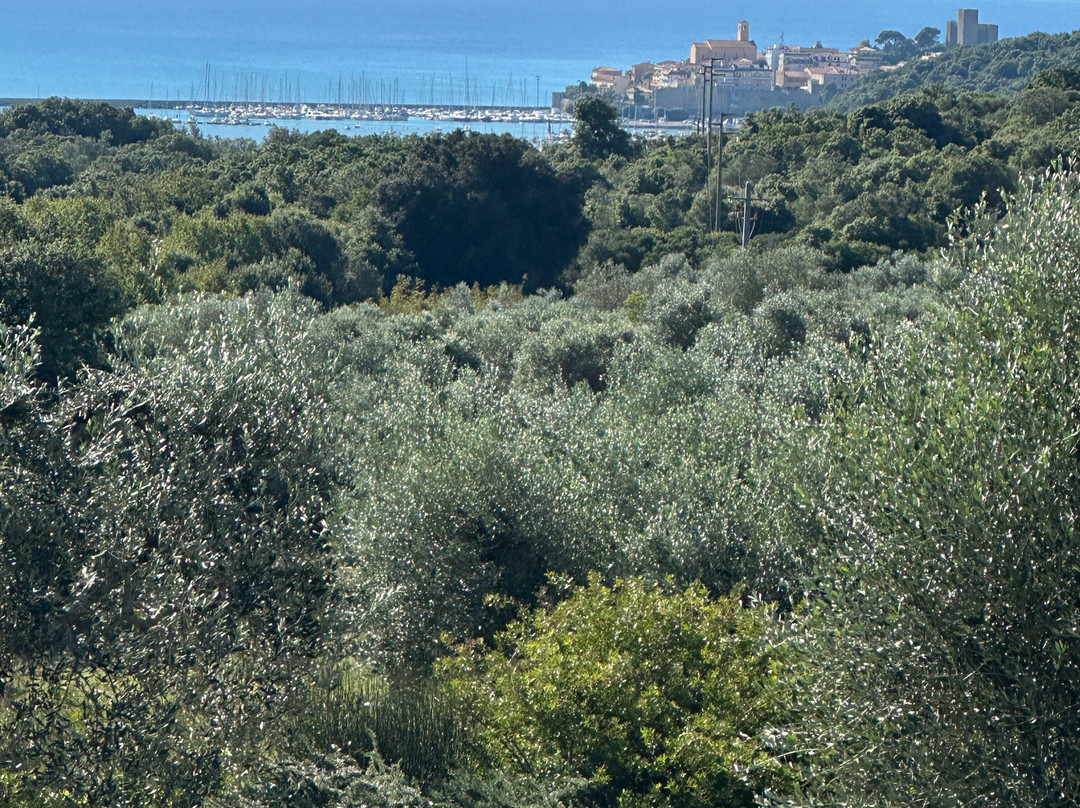 Tenuta Valle Buia主图