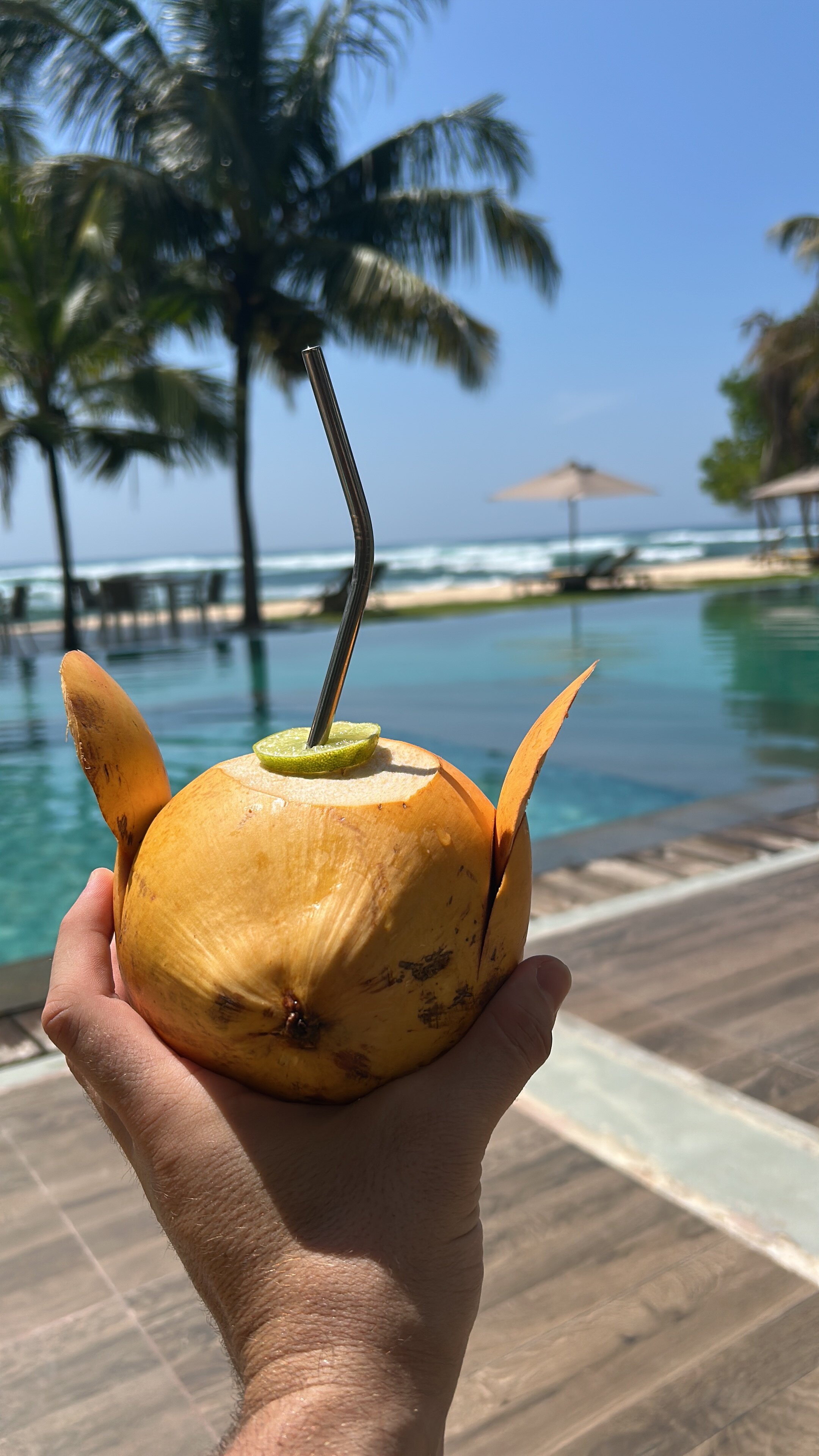 斯里沙拉维海滩水疗别墅-官方