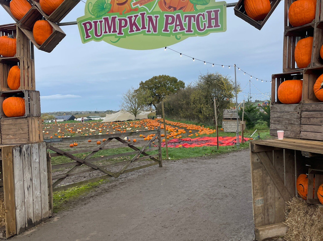 Avon Valley Adventure Park-Keynsham必去景点