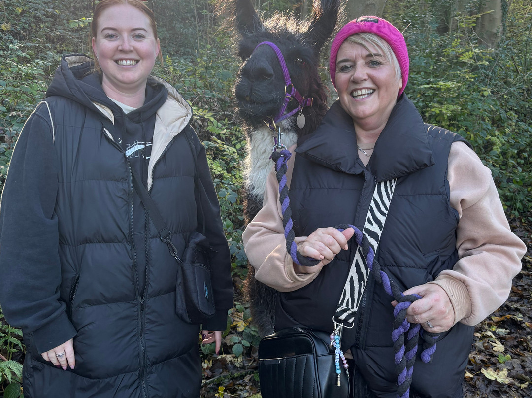 Holly Hagg Community Farm-谢菲尔德必去景点