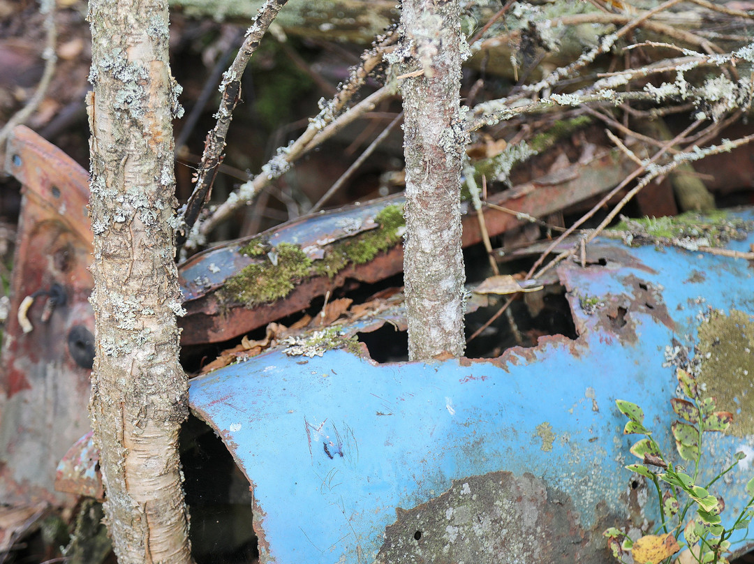 Kyrkö Mosse-Ryd必去景点