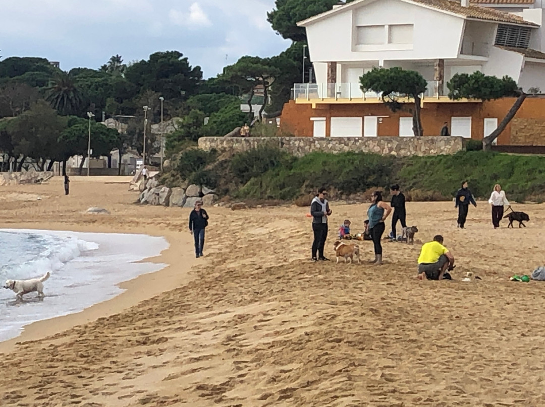 La Fosca Beach-Palamos必去景点