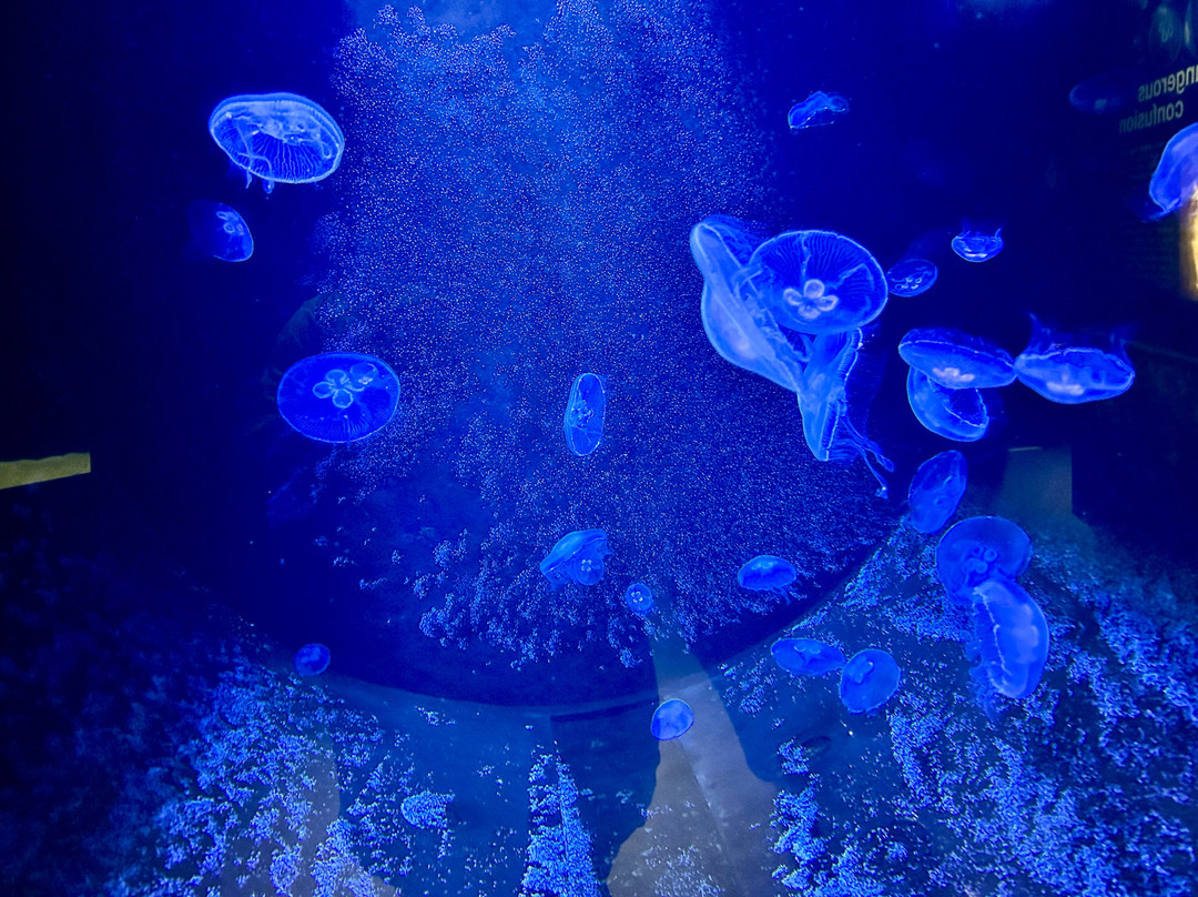 TOURLINE-Ammoudara必去景点