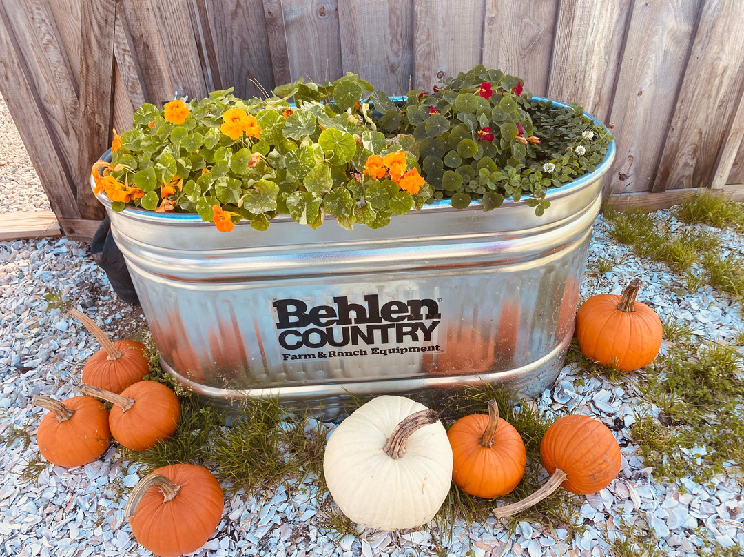 Nauti Spirits Distillery-Lower Township必去景点