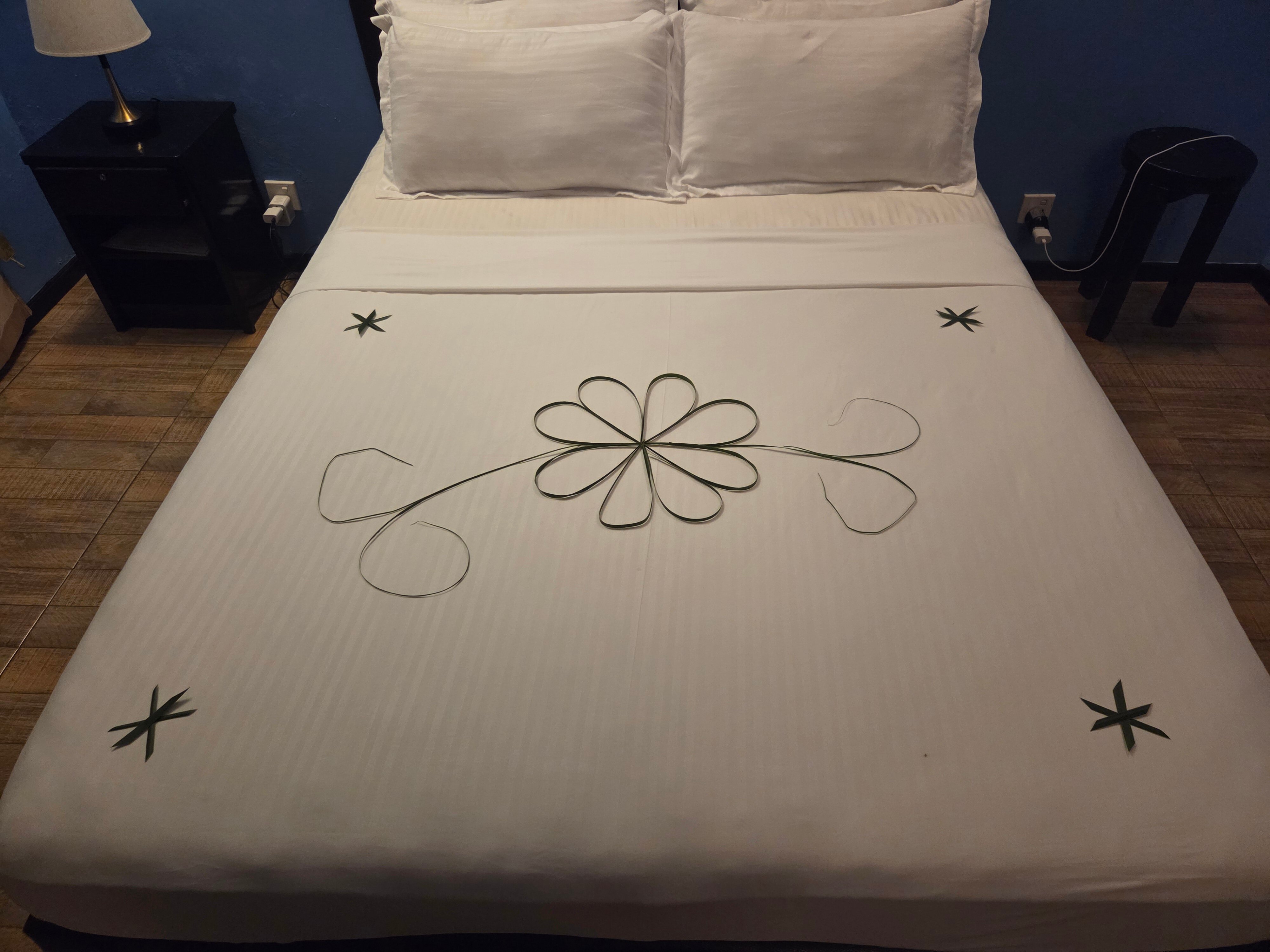 Local Island Inn-官方