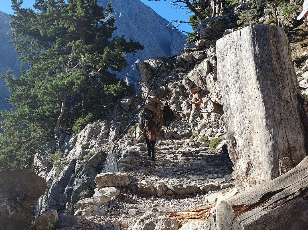 Neos Omalos Hotel主图